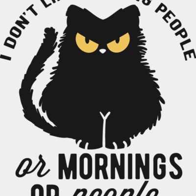 I dont like morning people Thumbnail