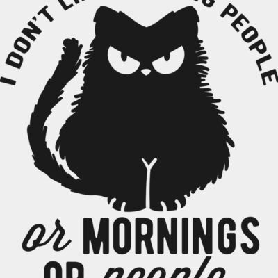I dont like morning people Thumbnail