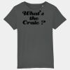 Kids Organic Cotton T Shirt Thumbnail