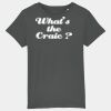 Kids Organic Cotton T Shirt Thumbnail
