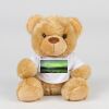 Bear in a t-shirt Thumbnail