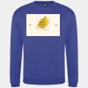 Pro sweatshirt Thumbnail