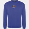 Pro sweatshirt Thumbnail
